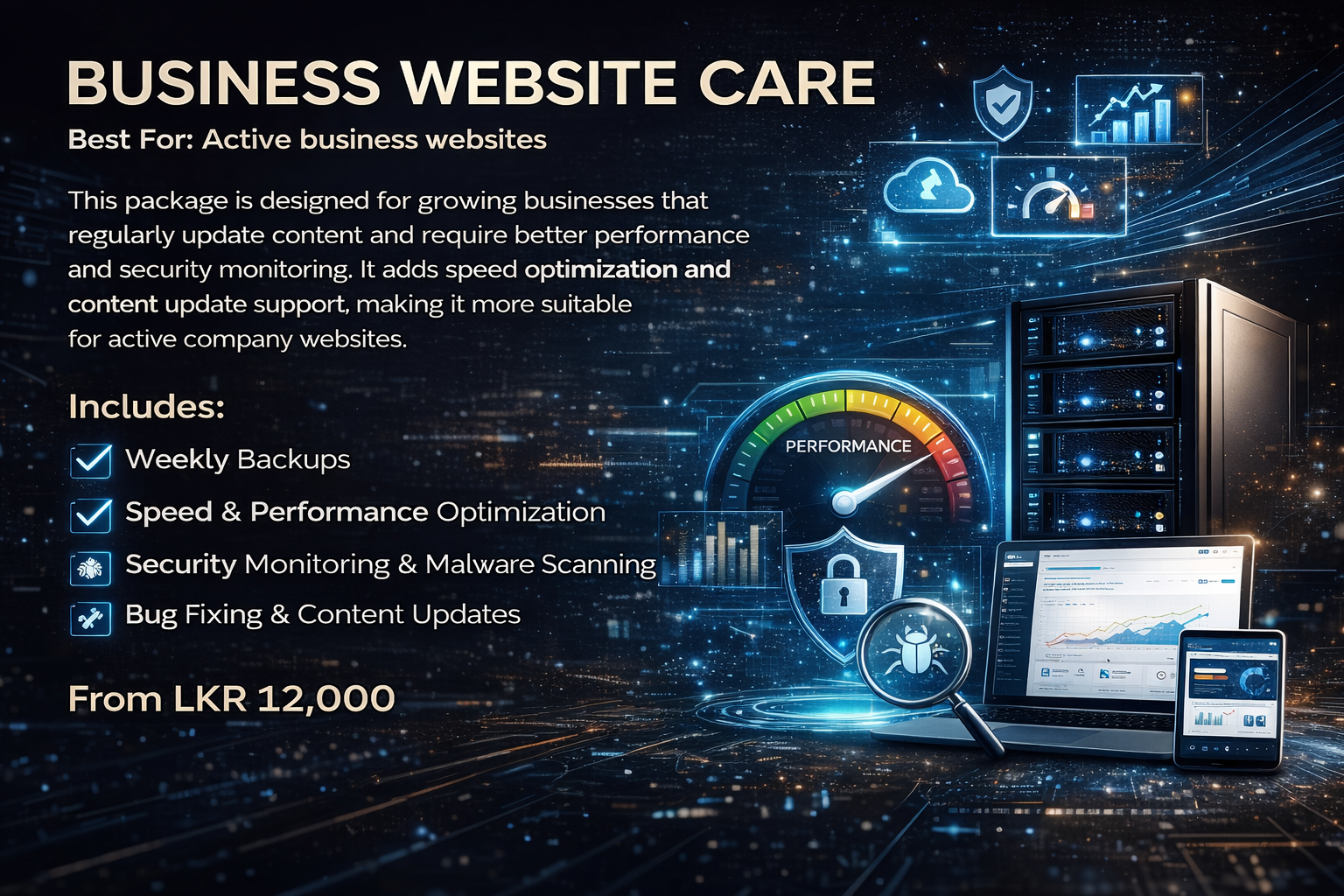 Business Website care services in Sri Lanka with speed optimization and security monitoring